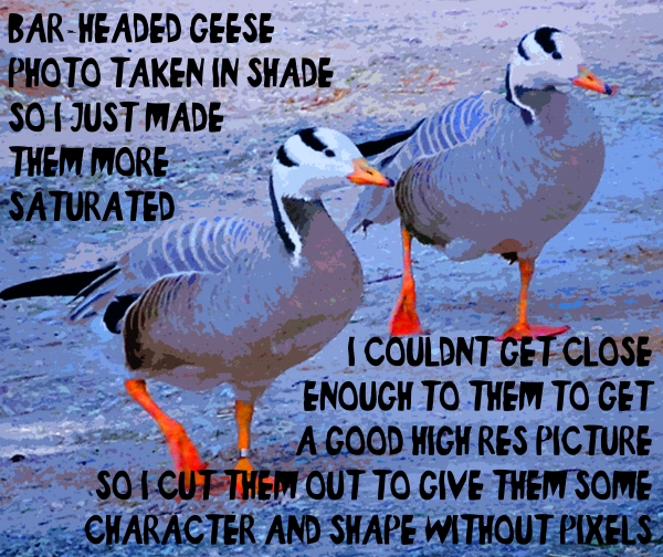 Creation of Goose Peoples: Step 8